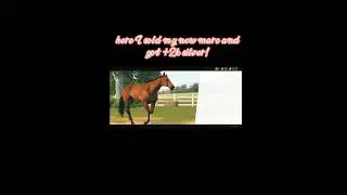 How to make/save money on rival stars horse racing