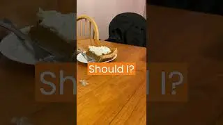 Do Dogs Eat Pumkin Pie?