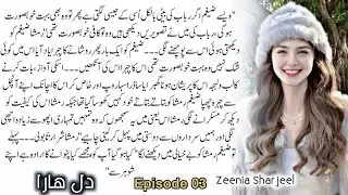 Dil haara vani base romantic novel part 3 |zeenia sharjeel |sama voice novel