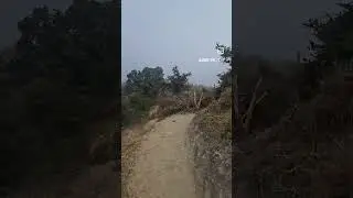 #hiking #lifeisbutadream #dosti #ihavethisthingwithplants