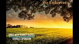 Vines With Tender Grapes by Charles Spurgeon