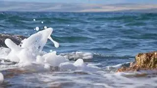 Blue seascape and waves | Free stock footage