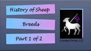 History of Sheep Breeds:  Part 1 of 2