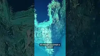 San Jos&eacute; shipwreck to be raised from ocean after more than 300 years