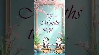 Countdown Video | Wedding Announcement Video | Save the date video