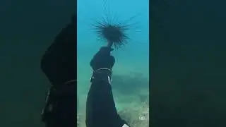 Fotoğraf tutkunları Mersin kıyılarındaki su altı kanyonları i&ccedil;in dalıyor