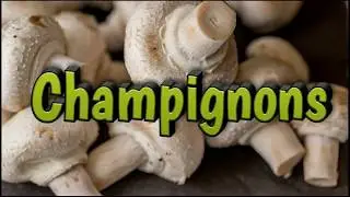 Champignons