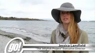 The Jellyfish Project - Shaw TV Victoria