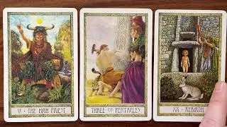 Celebrate your relationships 14 February 2022 Your Daily Tarot Reading with Gregory Scott