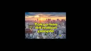 Interesting facts about Japan 🇯🇵  #learnjapanese #japan #japanese #EasylernJapanese