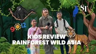 Kids review Rainforest Wild Asia | nine2twelve