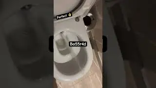 No more toilet  paper 🧻 needed