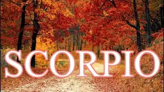 SCORPIO SEPTEMBER 2022 MONTHLY TAROT LOVE READING &ldquo;YOUR TOXIC EX WANTS YOU BACK 🔜🌎🤣&hearts;️&hearts;️😢
