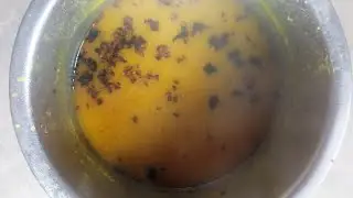 मसूर का दाल पतीला में कैसे बनाएं 🤔🥳👌