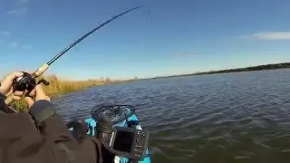 The Cold Water Rip Bait Bite