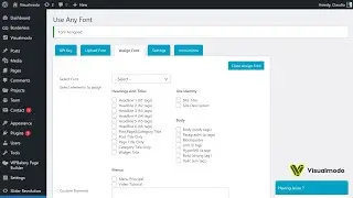 How To Use Any Font in Your WordPress Website for Free? Part 3: Assign Font - Addition and Usage
