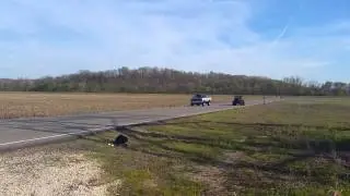 Ramaro vs LSX Willys 1/8 mile