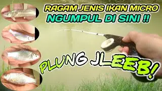 Mancing Di Spot Parit Gorong&sup2; Banyak Jenis Ikan Micro nya