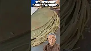 Это прогонит вашу деменцию!