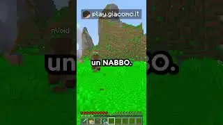 Ho aiutato il NABBO pi&ugrave; GENTILE del mio SERVER MINECRAFT! 😄😄