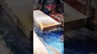 Behind the Scenes at a Sawmill | Exploring the Process and People. #shorts