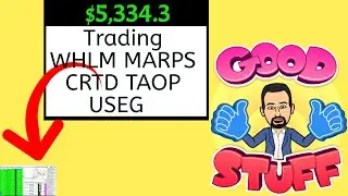 TOP 5 WINNING STOCKS:  $5,334.3 WHLM MARPS CRTD TAOP USEG | 14 JULY 2021