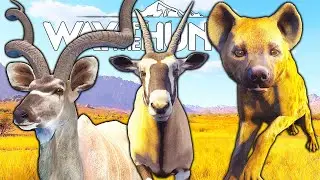 This Was Supposed to be Just a Five Star Gemsbok Hunt | Way of the Hunter
