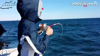 11lb Blackfish! Black Hole Magic Eye 753B Rod in Action!