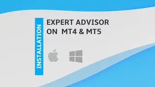 Как установить экспертного советника (EA) на MetaTrader 4 и MetaTrader 5 | Mac и Windows (2022).