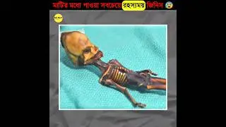 মাটির নিচে পাওয়া রহস্যময় জিনিস !
