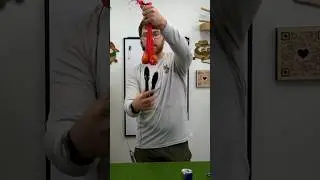 Различные методы кастрации крупного рогатого скота #шорты #приют для животных #alveus #alveussanc...
