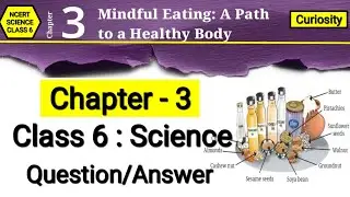 Class 6 Science Chapter 3 | NCERT Question Answer | Mindful Eating | A Path to a Healthy Body