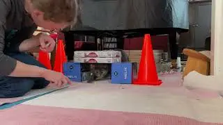 Crawl Challenge Level 2 - Follow Target Stick