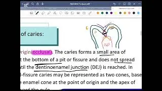 Introduction Operative dentistry( Lec 1 3th stage)