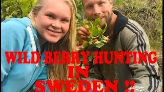 Wild Berry hunting in Sweden!