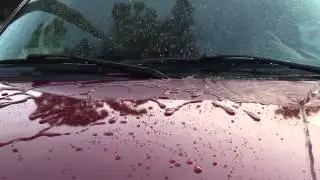 WolfGang Concours Series - Deep Gloss Paint Sealant