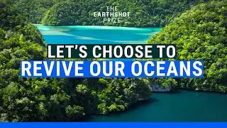 🌊 Let's Choose to REVIVE OUR OCEANS 🌊 | @EarthshotPrize
