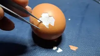 PEELING RAW EGG LIVE. A VERY SATISFYING  AND RELAXING PROCESS 😌