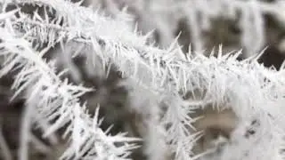 We had frozen fog this morning