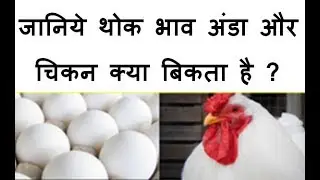 Egg Price All india | Broiler price All India ! Poultry Bazaar | 16-5-2018