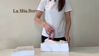 Видео обзор сумки на плечо Mila Bag от JW pei
