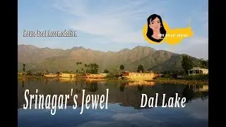 Tourism and recreation in Kashmir | Srinagar's Jewel | Dal Lake | India