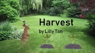 Harvest - (Terry Gilliam Monty Python Style) Animation
