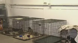 Shelters take in pets for residents evacuating from Electra Fire in Amador County