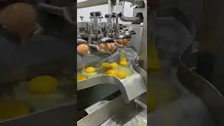 Eggsplosive Sounds: Inside the Egg-Breaking Machine