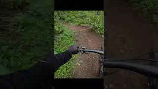 Best Trail System in Washington