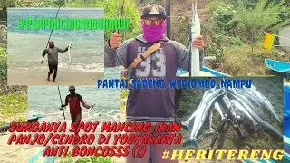 Surganya Spot Mancing Ikan Panjo/Cendro/Caroang/Cucut/Needlefish/Houndfish Di Yogyakarta