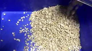 Cashews Grade LWP  - Large White Pieces