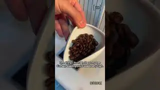 133 - [UCC Cafe Mercado, Sapporo, Japan] V60, Honduras El Puente
