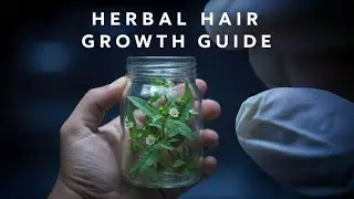 🔴🌿 Bhringraj Plant Full Guide | The Herbal Gift My Mother Showed Me | Hair Growth Herb 🌿🌿.